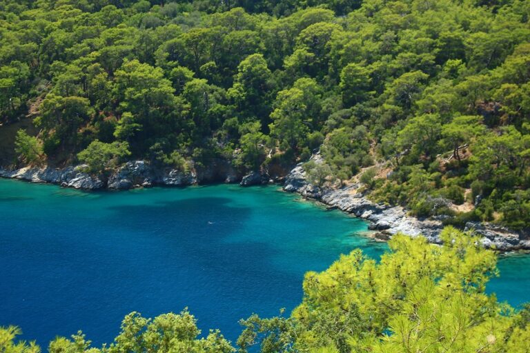 Wellness on the Waves: Holistic Retreats Aboard a Turkish Yacht